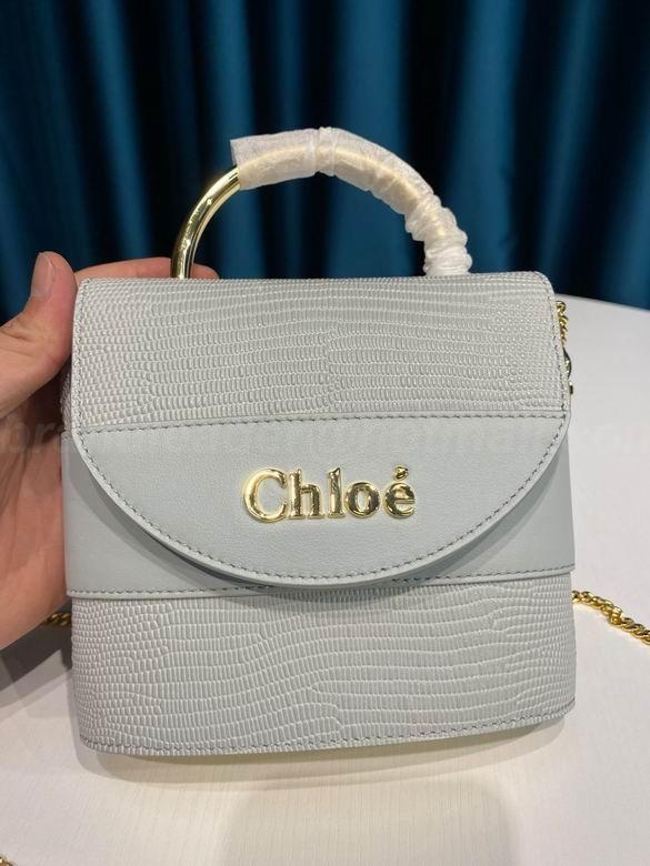 Chloe Handbags 27